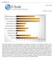 Developing Emotional Intelligence with E-Scale